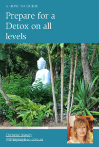 Prepare for a Detox On All Levels by Christine Maudy