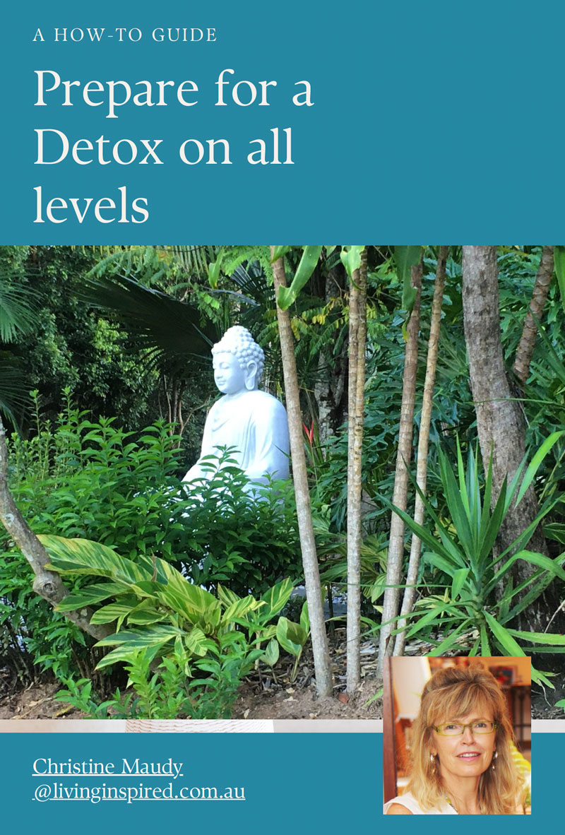 Prepare for a Detox On All Levels by Christine Maudy