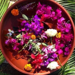 Honouring our Journey, Women Circle